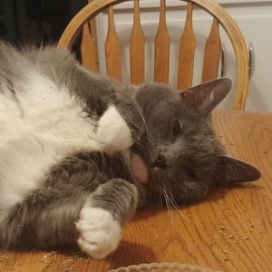 Meet your Posher, Keri